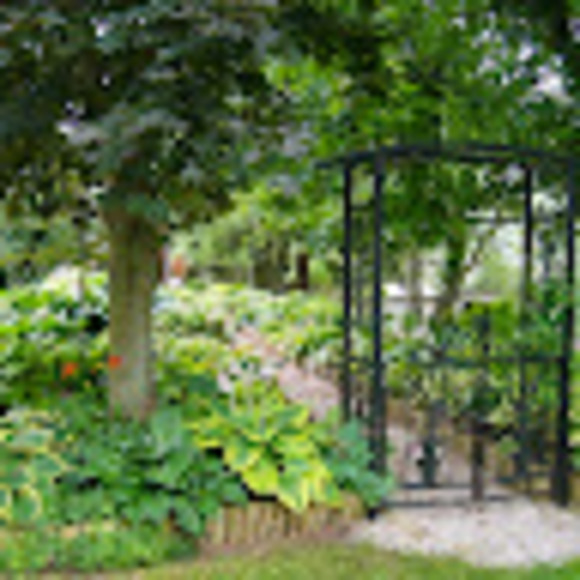 Meet your Posher, Rosa - Picture 1 of 1